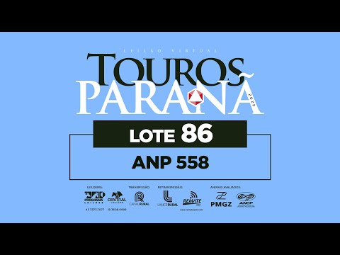 LOTE 86 ANP 558