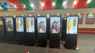 Boxlight Digital Signage 43 Size