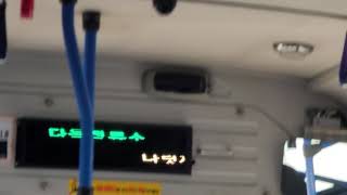 세종시내버스 801번 - 나성중학교 정류장 안내방송