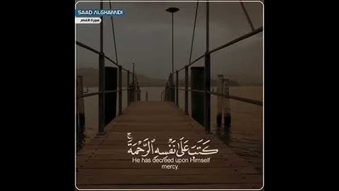 قران كريم | بصوت القارئ سعد الغامدي | حالات واتس اب♥♥.