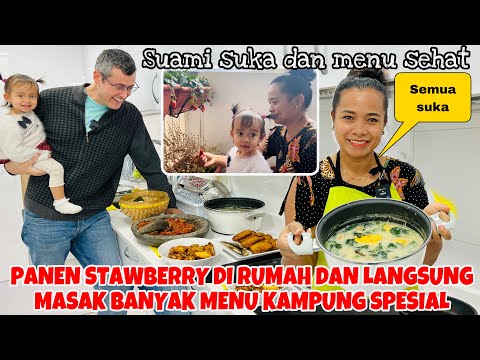 Olahan PANEN STAWBERRY DI RUMAH LANGSUNG MASAK BANYAK MENU KAMPUNG SPESIAL ,SUAMI SUKA DAN NAMBAH2 Yang Nikmat