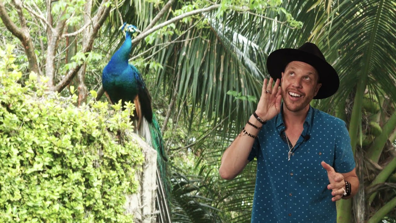 Build Your Own Dream Home, Best City in Florida to Invest In 2021: 7310 SW 104th St Pinecrest FL