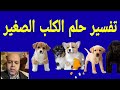 تفسير حلم الكلب الصغير في المنام محمود منصور  