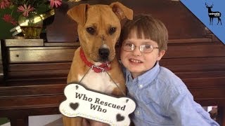 ASPCA's Dog and Cat of the Year! Plus Kid of the Year!