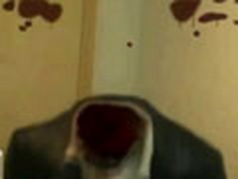 Sneeze