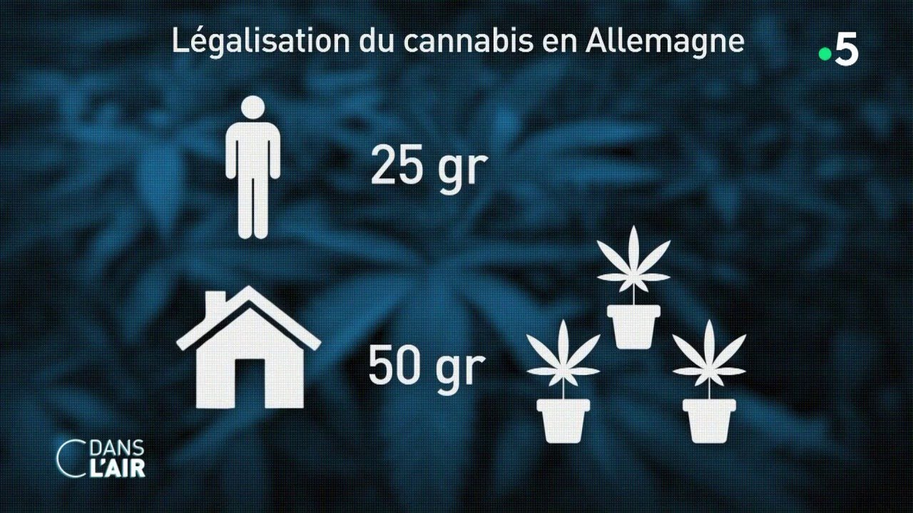 La légalisation du cannabis en Allemagne - reportage 