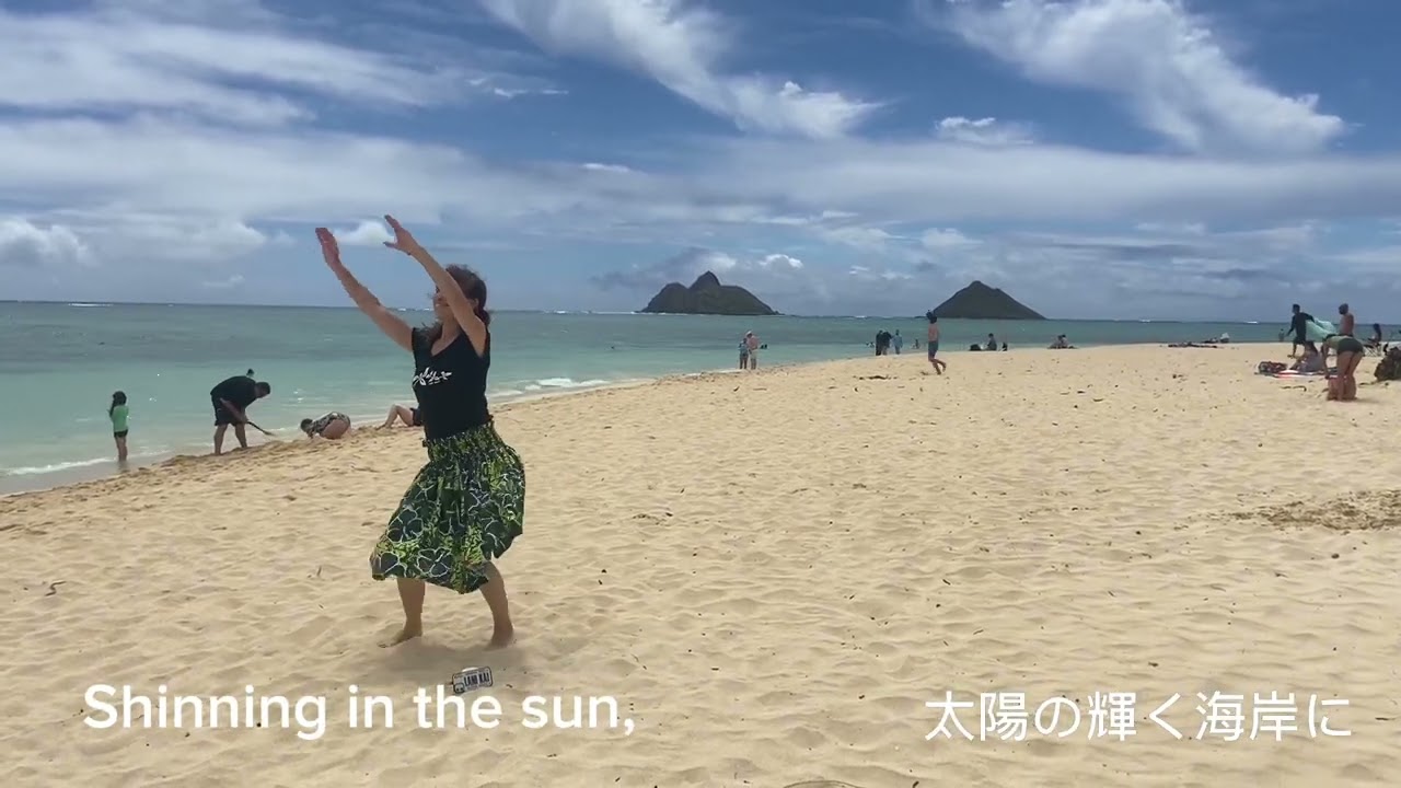 🌺Pearly Shells🌺