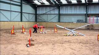Jean & Theo Agility Nuts Up & Under March 2013