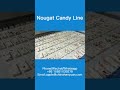 Nougat Candy Bar Production Line