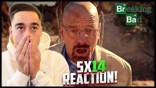 ....! 'Breaking Bad' 5x14 'Ozymandias' Reaction! (First Time Watching)