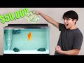 I Gave My Goldfish $50,000 to Trade Stocks thumbnail