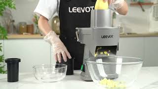 LEEVOT 200W Commercial Veg Chopper – Slicer, Dicer & Grater!