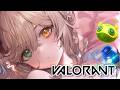 【APEX・VALORANT・Project Winter】もう一回ふるぱやっちゃっていいんですか w/あじゃ³,まざー³,英リサ³・・・【清楚系/酢酸かのん】