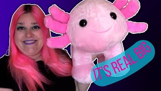 🦎My Complete Collection Of Build-A-Bear Axolotls!🦎 - Elyse Explosion