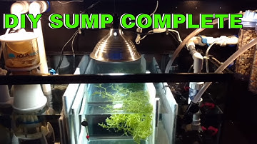 Reef Tank Sump Equipment