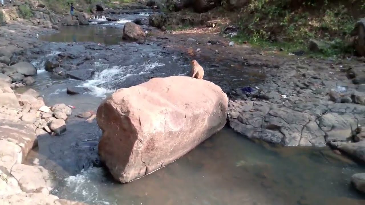 नर्मदा परिक्रमा 👣 अमरकंटक कपिल धारा दूध धारा | My Dharm Yatra|