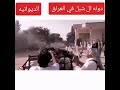 ال شبل طال عمرك