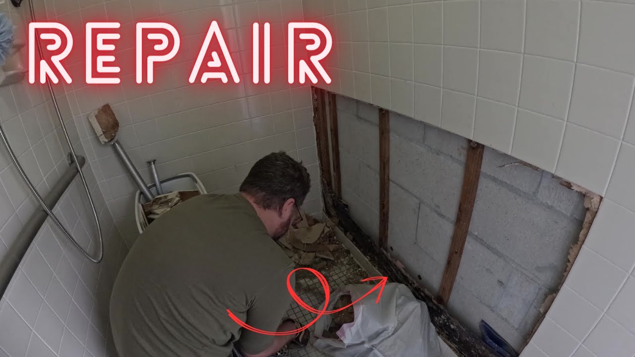 Now I feel like she is doing it on purpose… Shower wall repair! diy