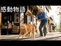 ほうきで叩かれ、水をかけられても通い続けた猫→来なくなった瞬間、店に起きた異変に店主は凍りつく【感動