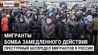 Мигрантский беспредел / Хроники этнических преступлений