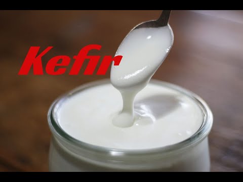 beginners-guide-on-how-to-brew-milk-kefir--the-natural-human-diet