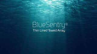 BlueSentry™ by Thales