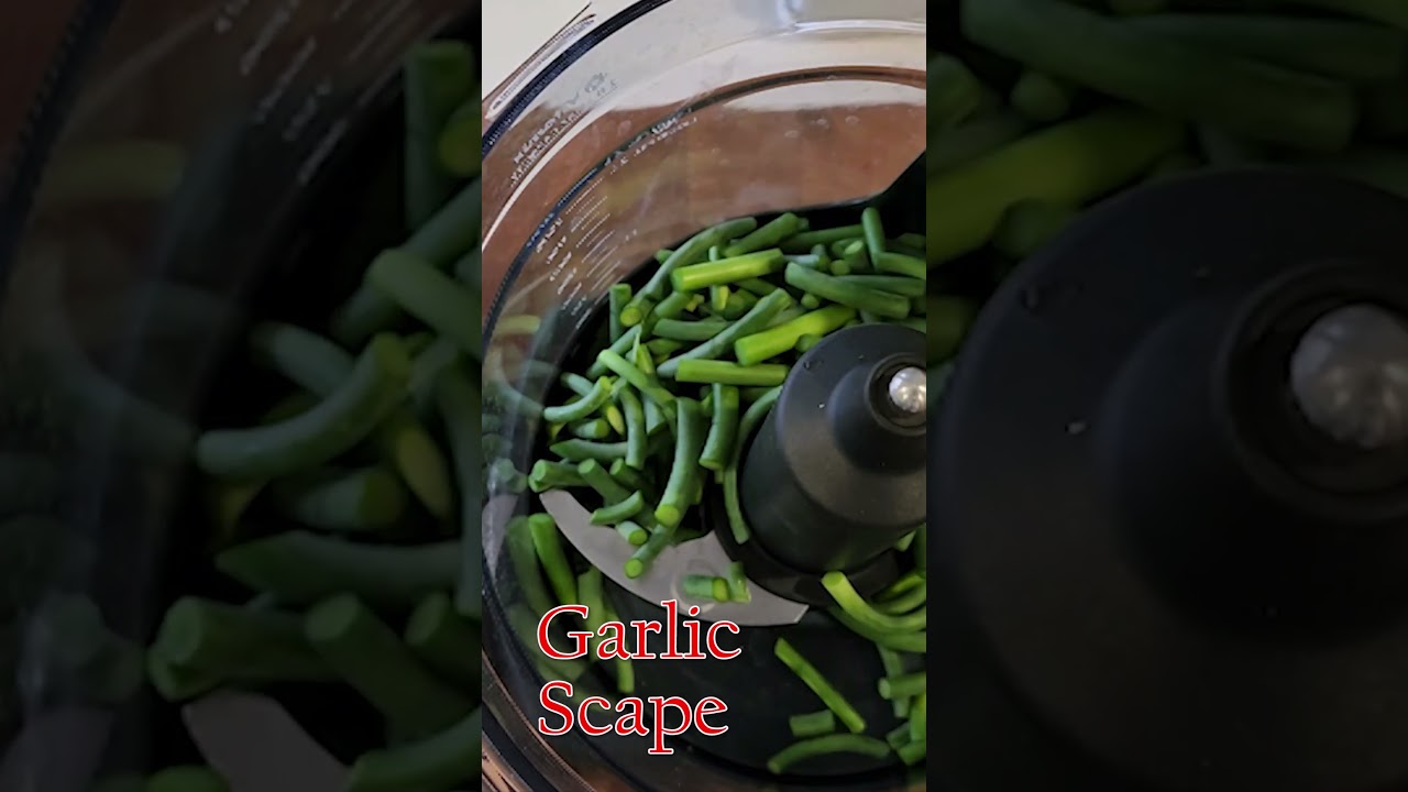 How to Make Garlic Pesto cooking recipe pesto garlic BBQ Teacher