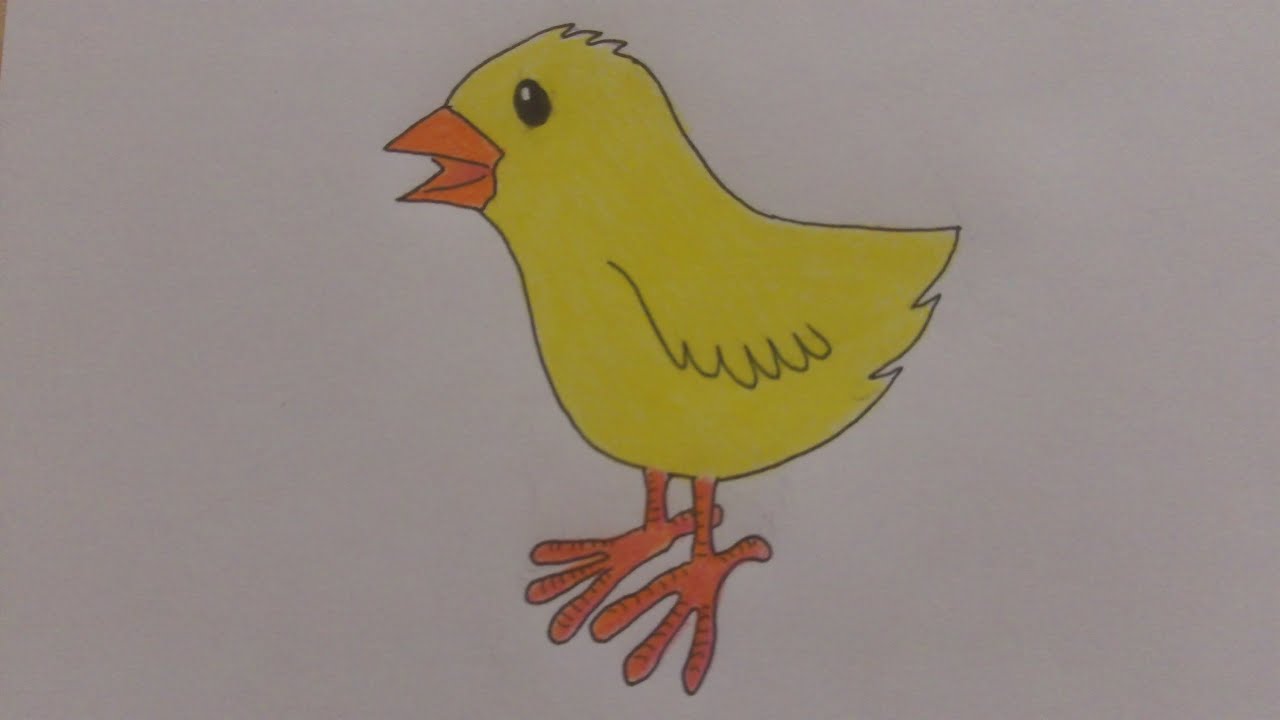 How To Draw An Easter Chick YouTube