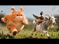 Orange Cat's Farm Life – Funny 3D Animated Short