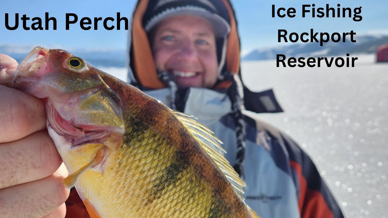 Ice Fishing Utah; This is why I love Rockport Reservoir! YouTube
