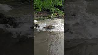 dwarka District Heavy Rain Fall