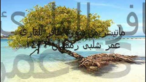 ماتيسر من سورة عافر للقارئ عمر شلبى رمضان 1433
