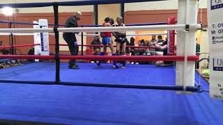 1 round of dawud v Tommy