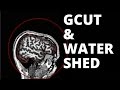 GCut and Watershed | Fixing a Bad Skullstrip
