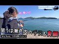 フカセ釣りLV2のかんちゃんと瀬戸内のチヌ&真鯛を狙う！ [小手島の波止] #かんちゃんとep3