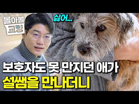 "I'm sorry it took me so long to realize..." The truth about a dog who couldn't come near for 9 m...