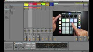 PreSonus ATOM and Ableton Live: Knobs