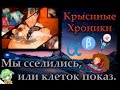 Крысы | Пацаны сселились, или клеток показ. ^_^