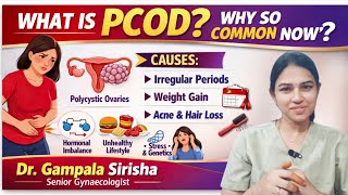 PCOD లో అసలేం జరుగుతుంది;ఎందుకు వస్తుంది 🤔 || PCOS || Dr Gampala Sirisha || Gynaecologist 