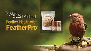 Feather Health with FeatherPro Nature Centered Podcast by Wild Birds Unlimited