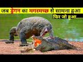 CROCODILE VS KOMODO DRAGON देखते हैं किसमें हैं कितना दम ❗Real Animal BATTLE Crocodile Comodo Dragon