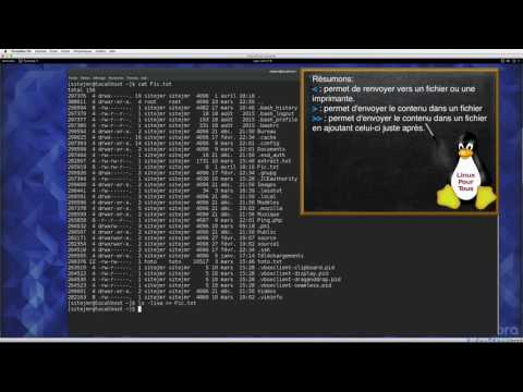 Linux - 08 - Entrée sorties / Input Output