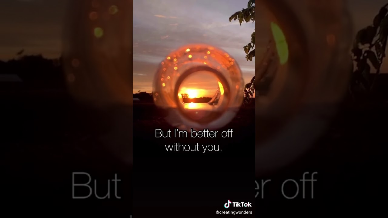 Tiktok Quote - YouTube
