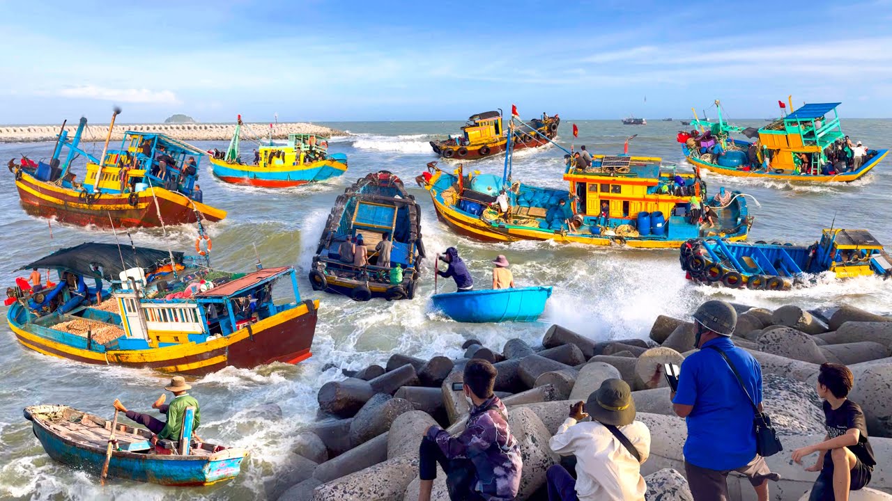 Ngày Sóng Đuổi Cửa Biển Lagi | Trúng Lớn Mùa Tôm Hùm Giống Kỷ Lục