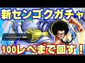 新センゴクガチャ 100レべまで鬼耐久 バウンティラッシュ