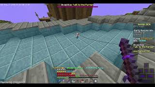 Doing Random Stuff in Hypixel Skyblock