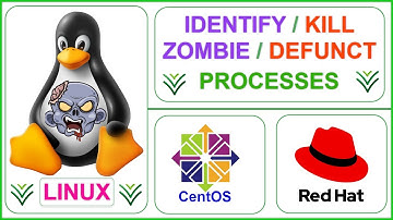 How to Identify and Kill Zombie/Defunct Processes in Linux (#Linux #Interview #Question)