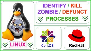 How to Identify and Kill Zombie/Defunct Processes in Linux (#Linux #Interview #Question)
