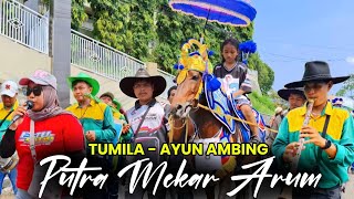 Meriah Kuda Renggong Terbanyak Tanji Putra Mekar Arum  Tumila Ayun Ambing