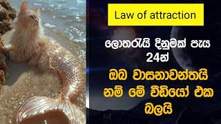 මෙය විශ්වය ඔබට ලබා දෙන අවසන් අවස්ථාව විය හැකි | i am affirmations | manifesting money